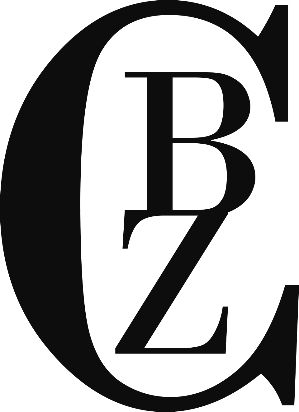 Hebei Caibizhi Trading Co., Ltd. logo