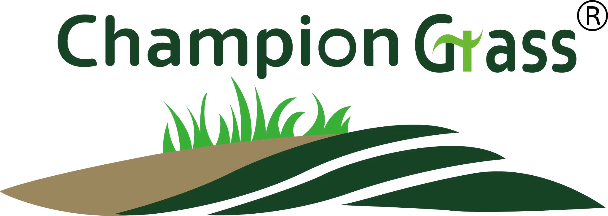 Zhengzhou Champion Co., Ltd. logo