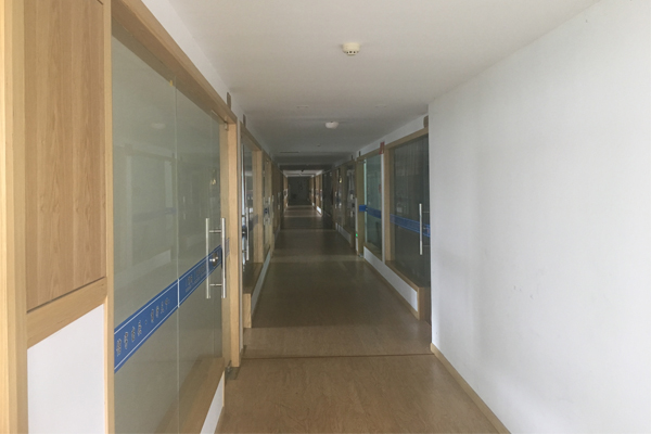 Taizhou Morning Made Import & Export Co., Ltd. LED Holiday Lights
