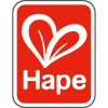 Company icon