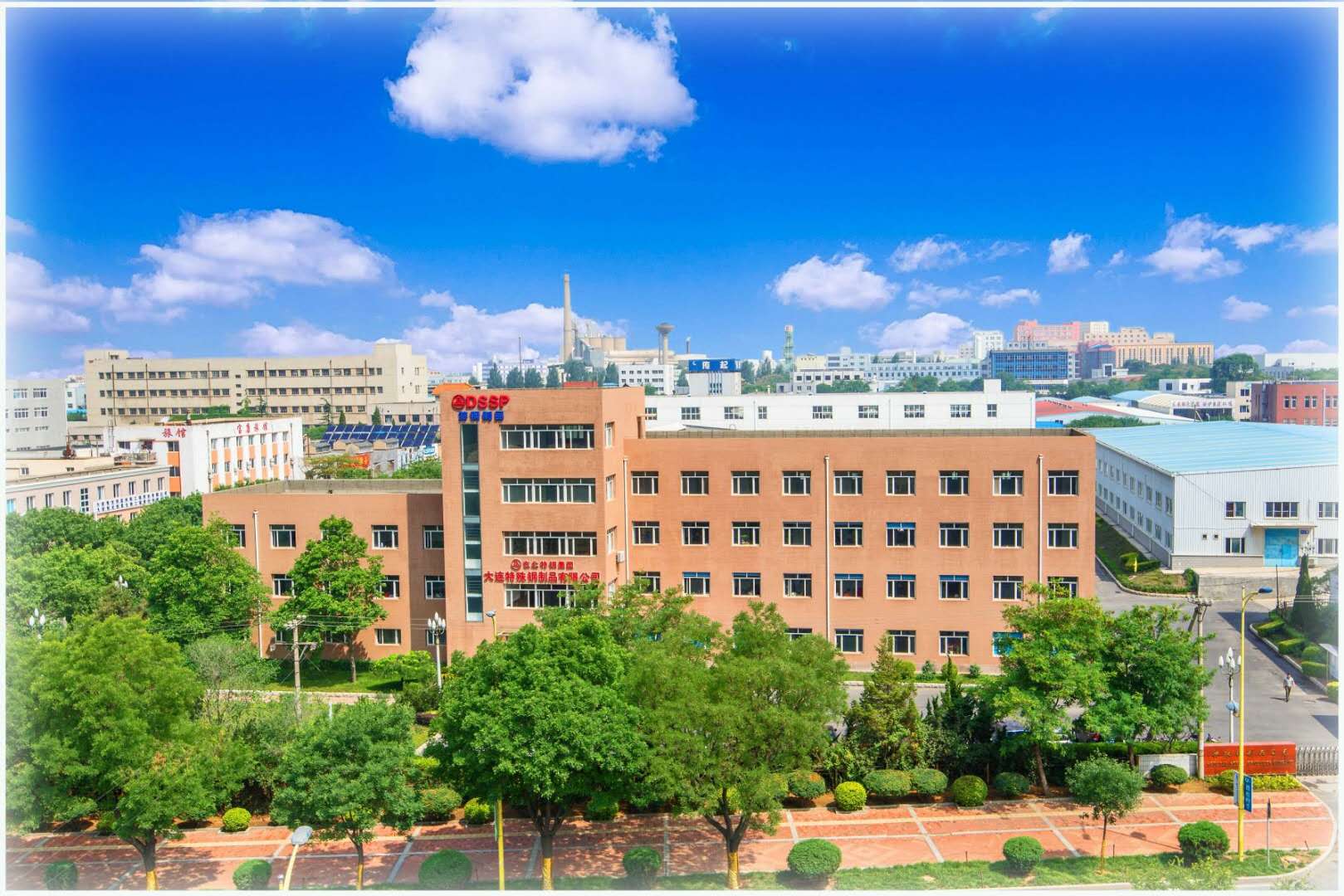 Dongbei Special Steel Group Co., Ltd. logo