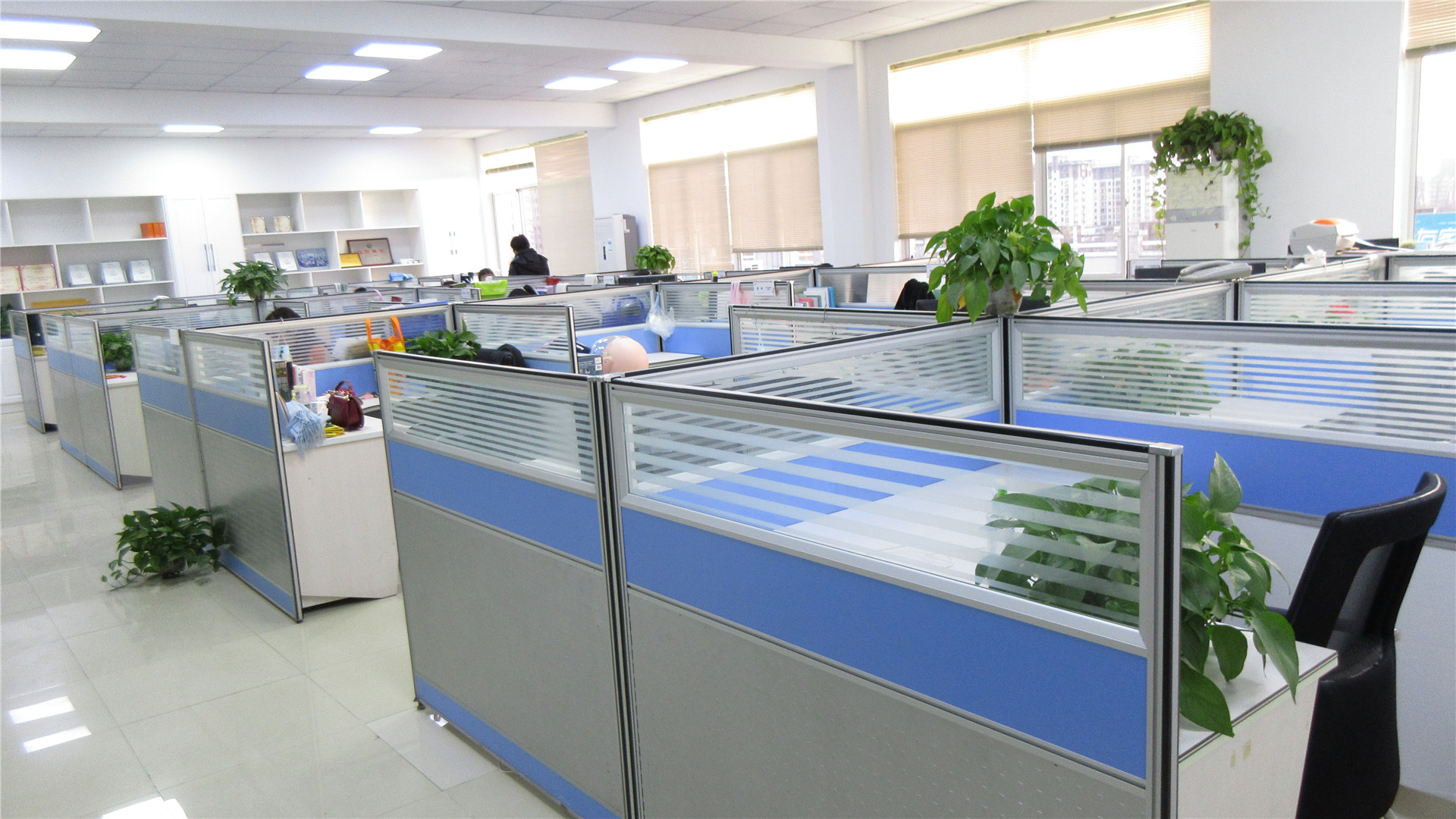 Jiangsu Mofisi Weaving Co., Ltd. Cotton Towels