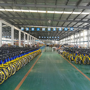 Tianjin Yuandong Lanjian Technology Co., Ltd. Mountain Bike