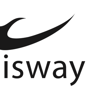 Company icon