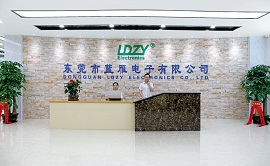 Dongguan LDZY Electronics Co., Ltd. factory image 2