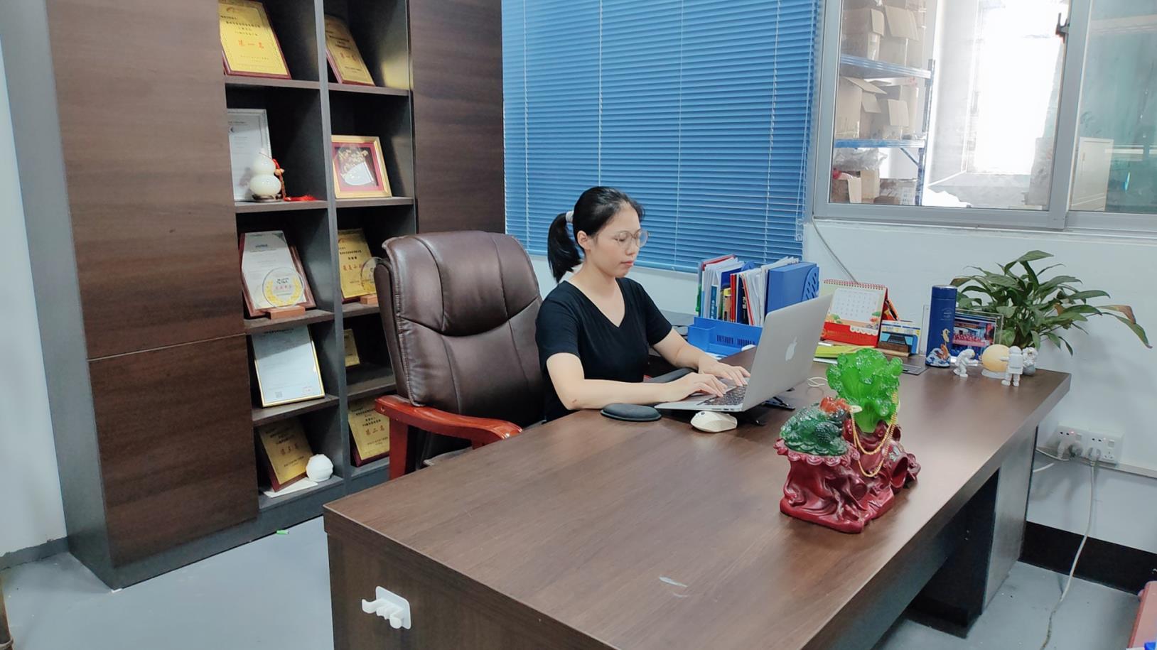Huizhou Xingyue Technology Co., Ltd. Garment Steamer