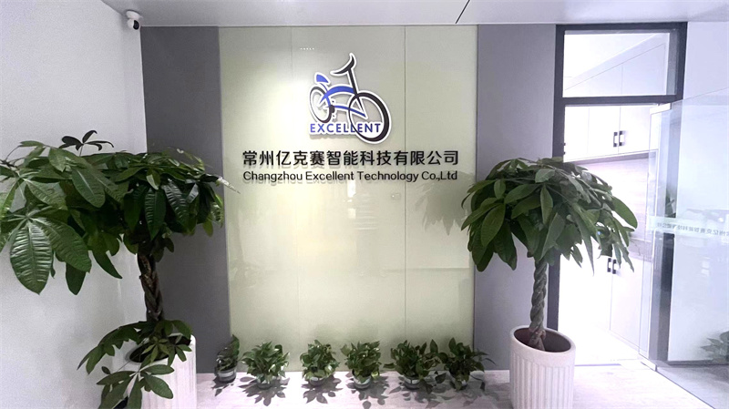Changzhou Excellent Technology Co., Ltd. Electric City Bike