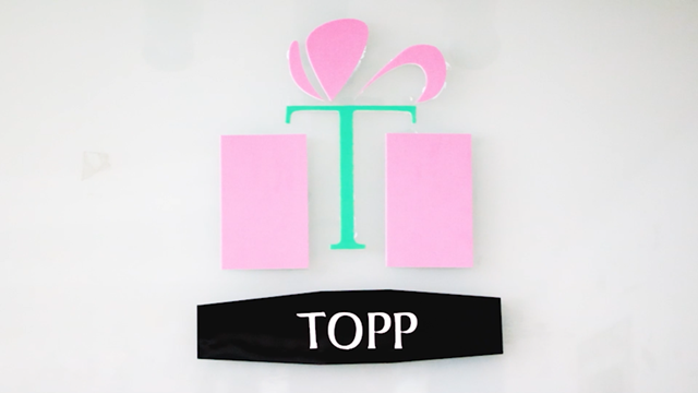 Ningbo Topp Gifts Co., Ltd. Stress Ball