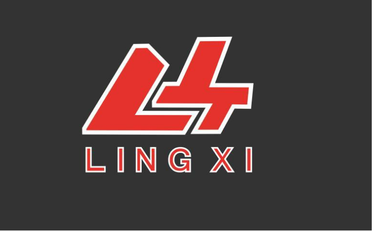 Dingzhou Lingxi Sports Goods Sales Co., Ltd. logo