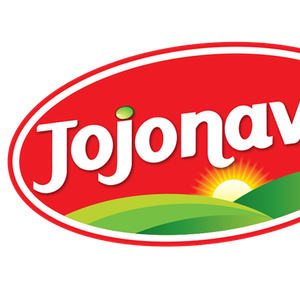 Company icon