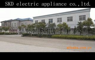 Yuyao Shengkangda Electrical Appliance Co., Ltd. Magnetic Building Blocks