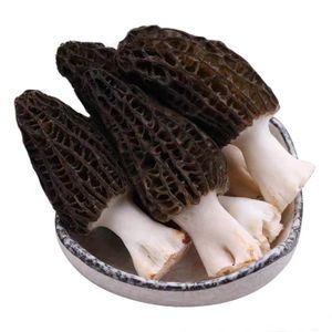 Wild Fresh Morel Mushrooms Morchella Wholesale Price Of Black Morel Mushroom