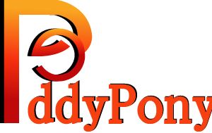 Company icon