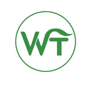 Company icon