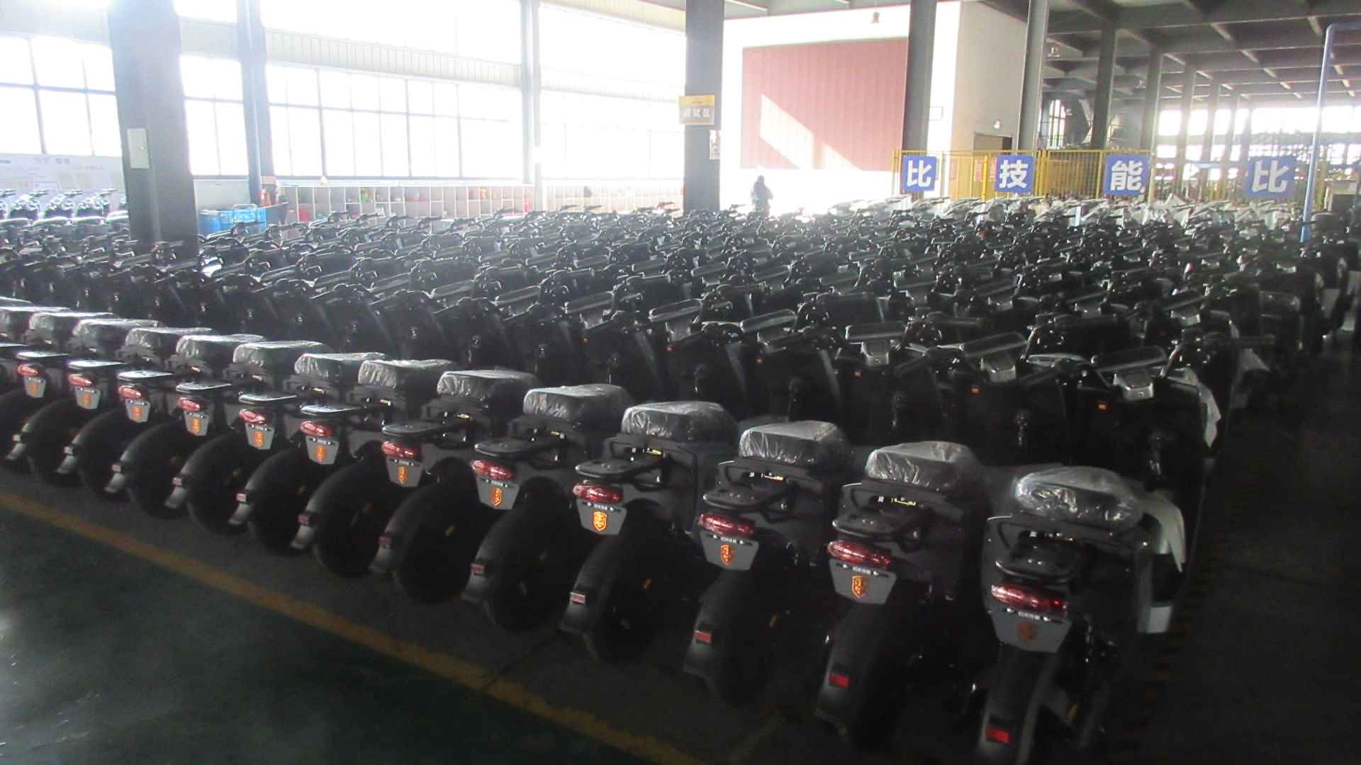 Zhejiang Telaiweishi Electromobile Manufacturing Co., Ltd. E-Bike