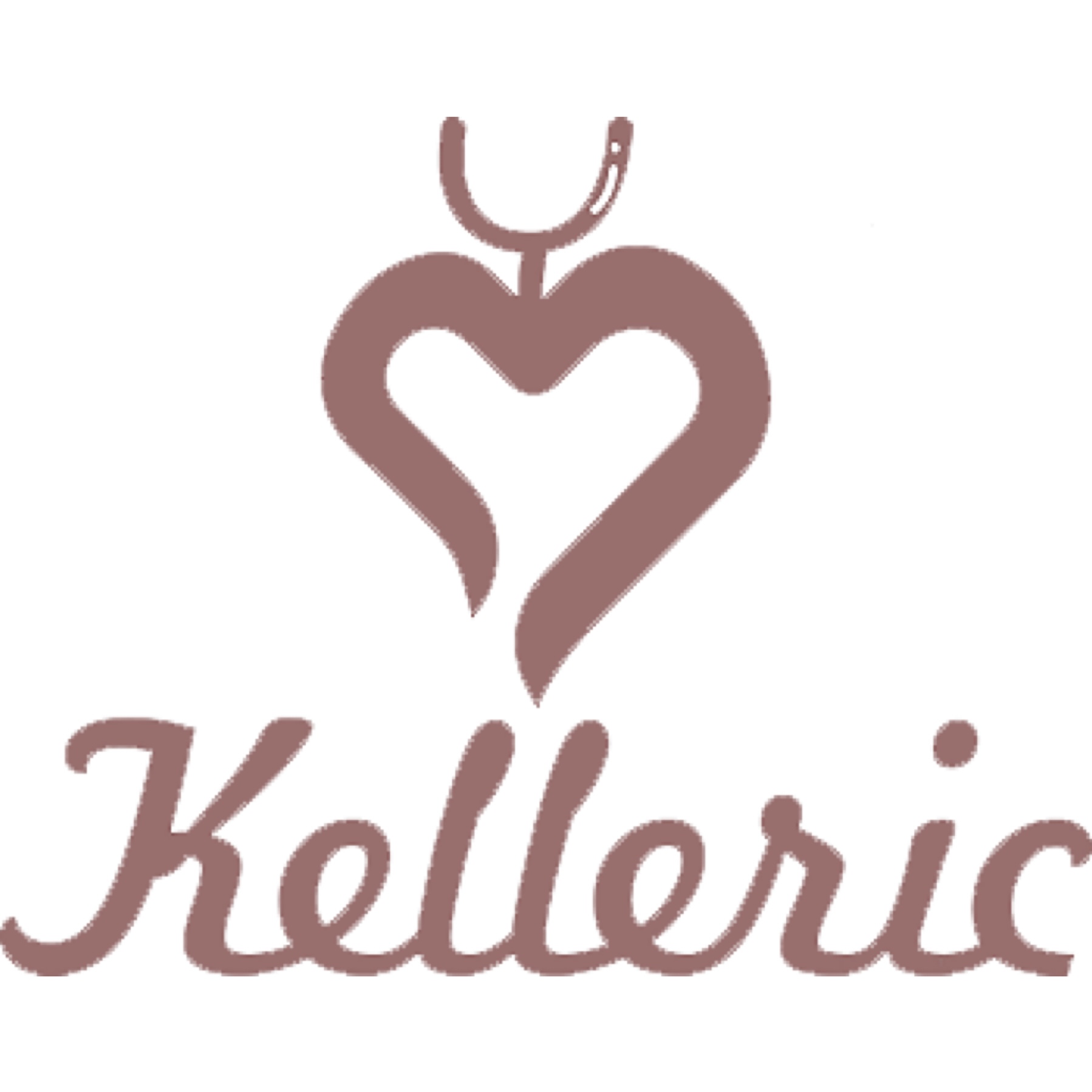 Hangzhou Kelleric Technology Co., Ltd. logo