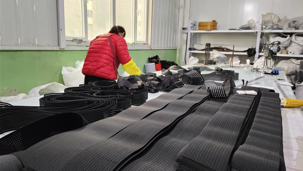 Hengshui VSPT Trading Co., Ltd. Waist Support