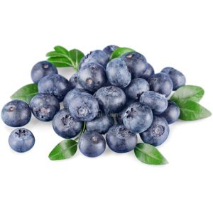 Sweet Fresh Blueberries Ready For Harvest