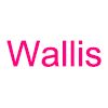 Company icon