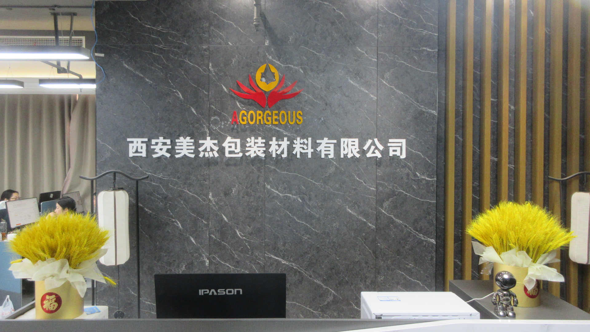 Gorgeous Beauty Equipment Manufacture Cryolipolysis Machine