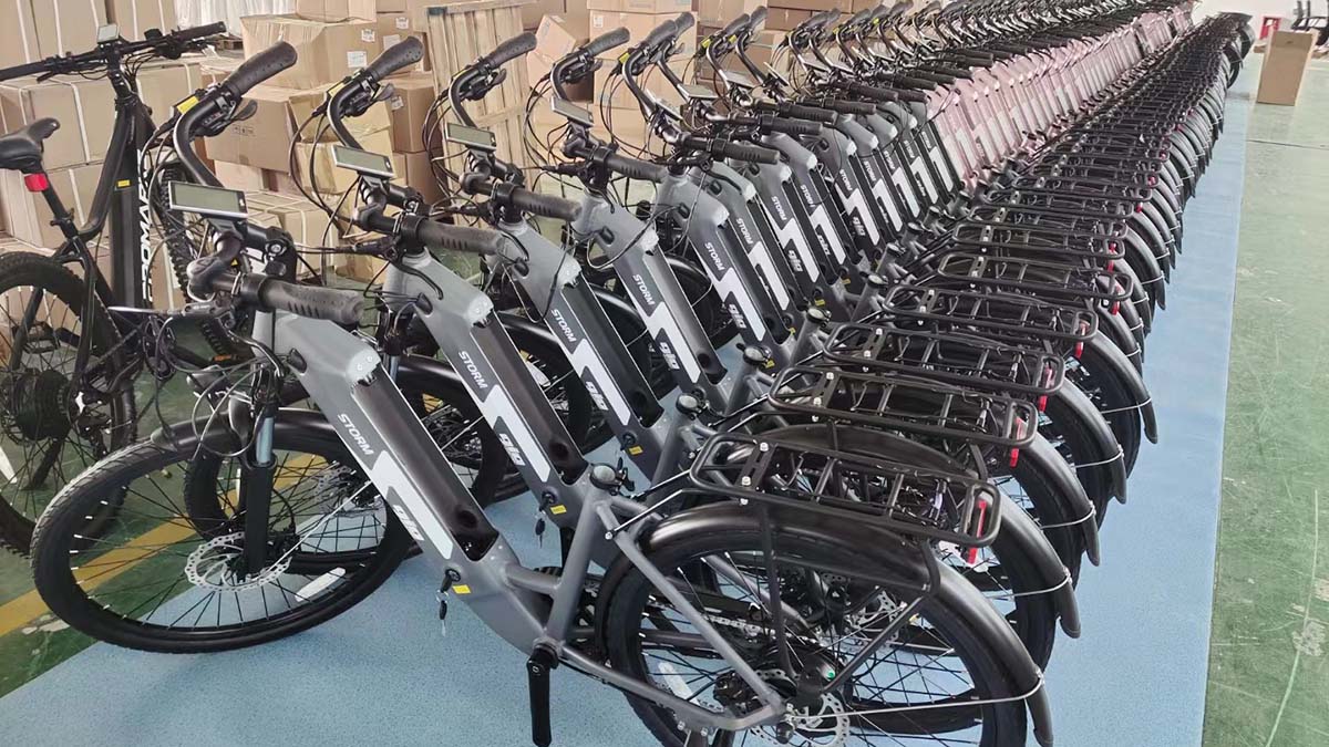 Promarke Sports Equipment(kunshan)co., Ltd. electric mountain bike