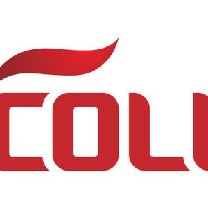 Company icon