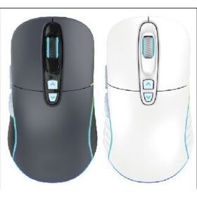 ODM wireless gaming mouse black/white color for computer game