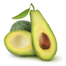 Cheap price Fresh Avocado / Hass Avocado, Fuerte Avocado for sale