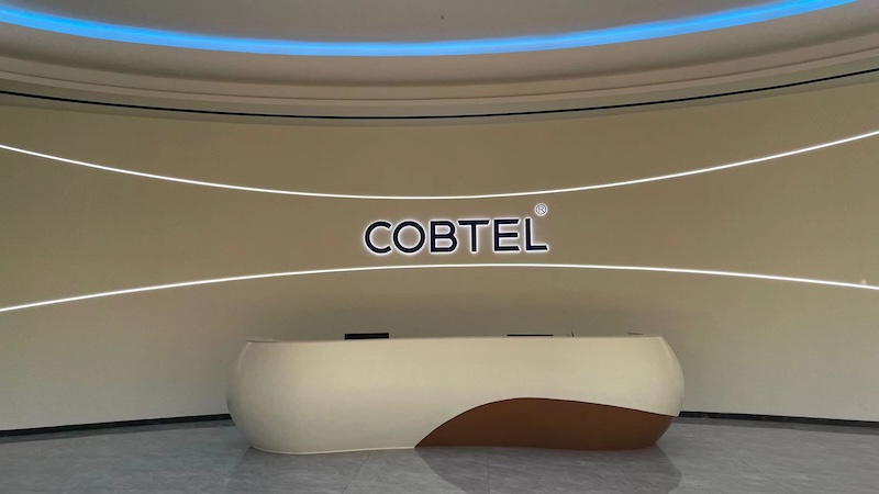 Cobtel Precision Electronics Co., Ltd. Keystone Jacks