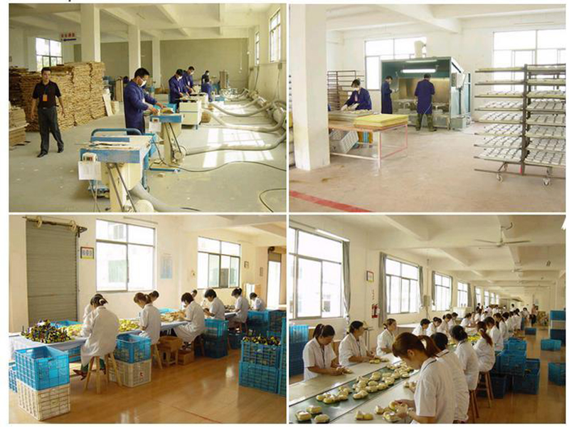 Hai Yang International Limited Educational Toys