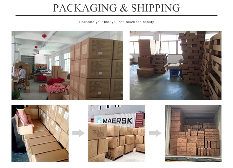 Henan Yongnuo Trading Co., Ltd. factory image 3