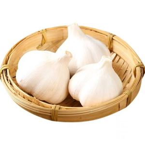 high quality new crop fresh garlic original supplier full dried goods wholesale price normal white garlic