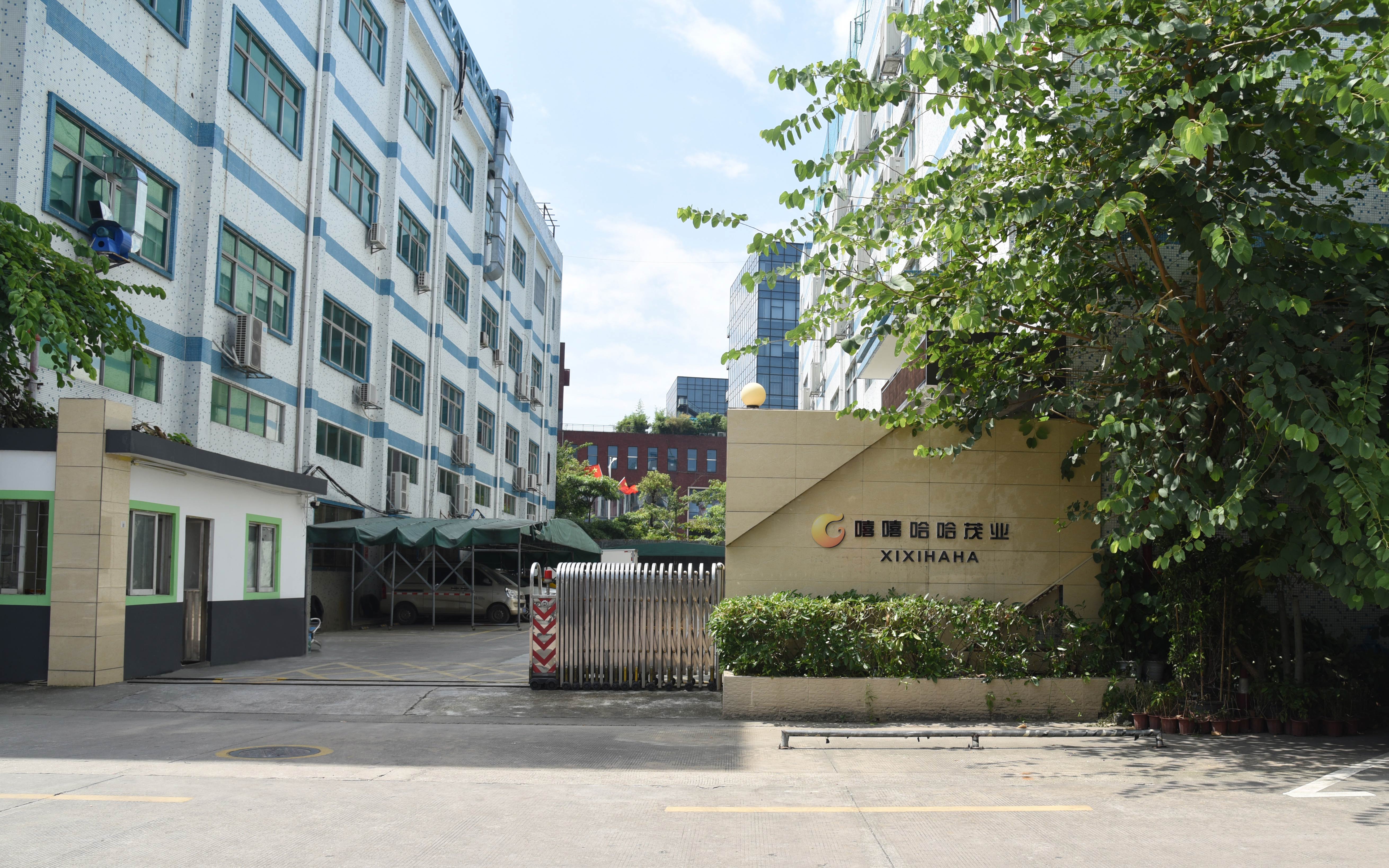 Shenzhen Xixihaha Maoye Technology Co., Ltd. factory image 3
