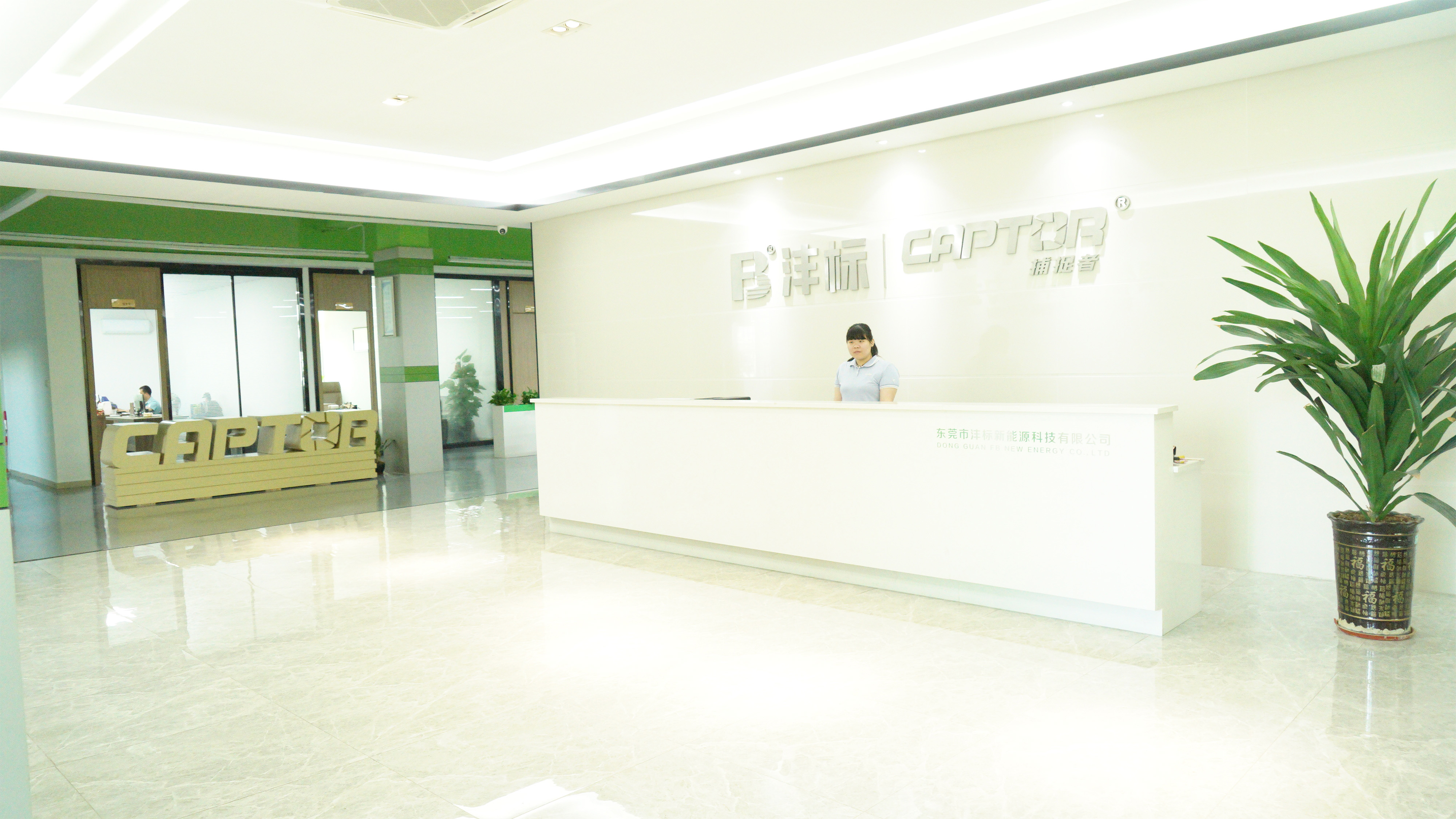 Shenzhen Fengbiao E-commerce Co., Ltd. Camera Battery