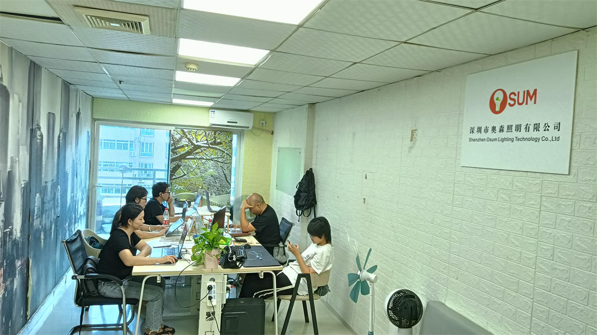 Shenzhen Osum Lighting Technology Co. Ltd Solar Flood Light