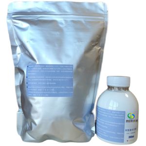 Eco Casting Resin Powder Kit Sustainable Non-Toxic Eco-Friendly Water Based Formula Easy to Use for DIY Art