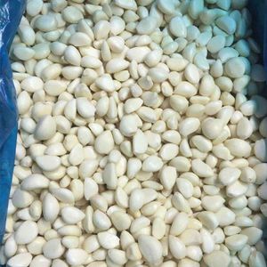 Top Quality China Frozen Garlic Style GLOBAL GAP Weight Origin Type Size Product IQF Frozen Place Model Cultivation Common