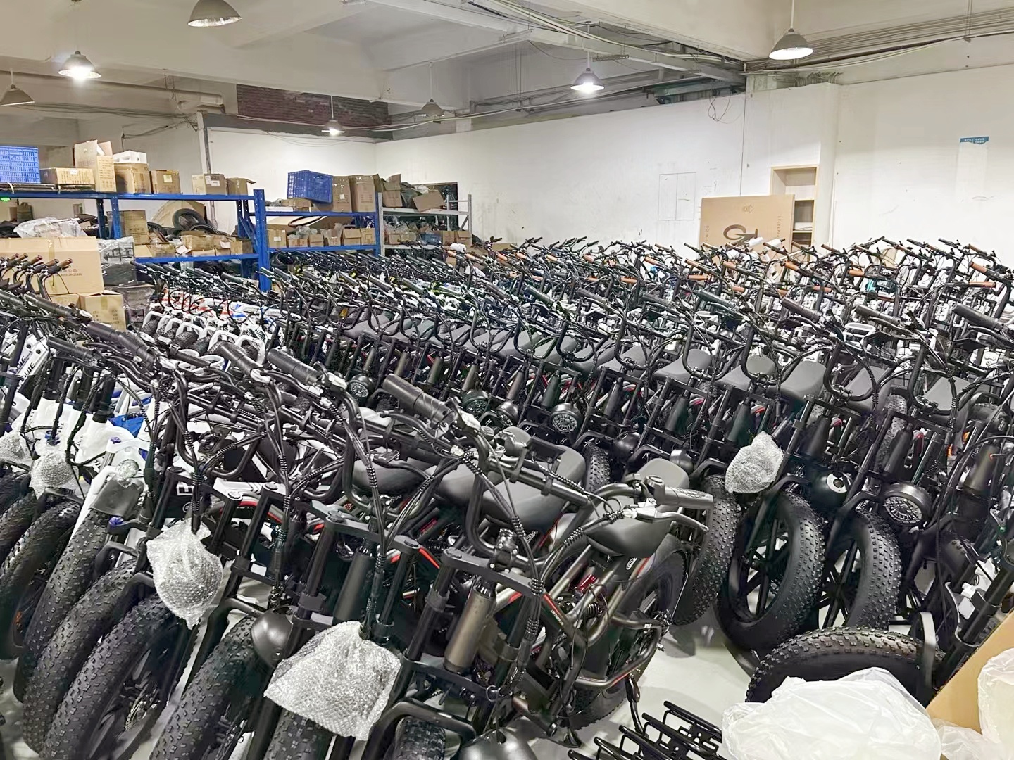 Sichuan Whale Feather International Trade Co., Ltd. electric tricycle
