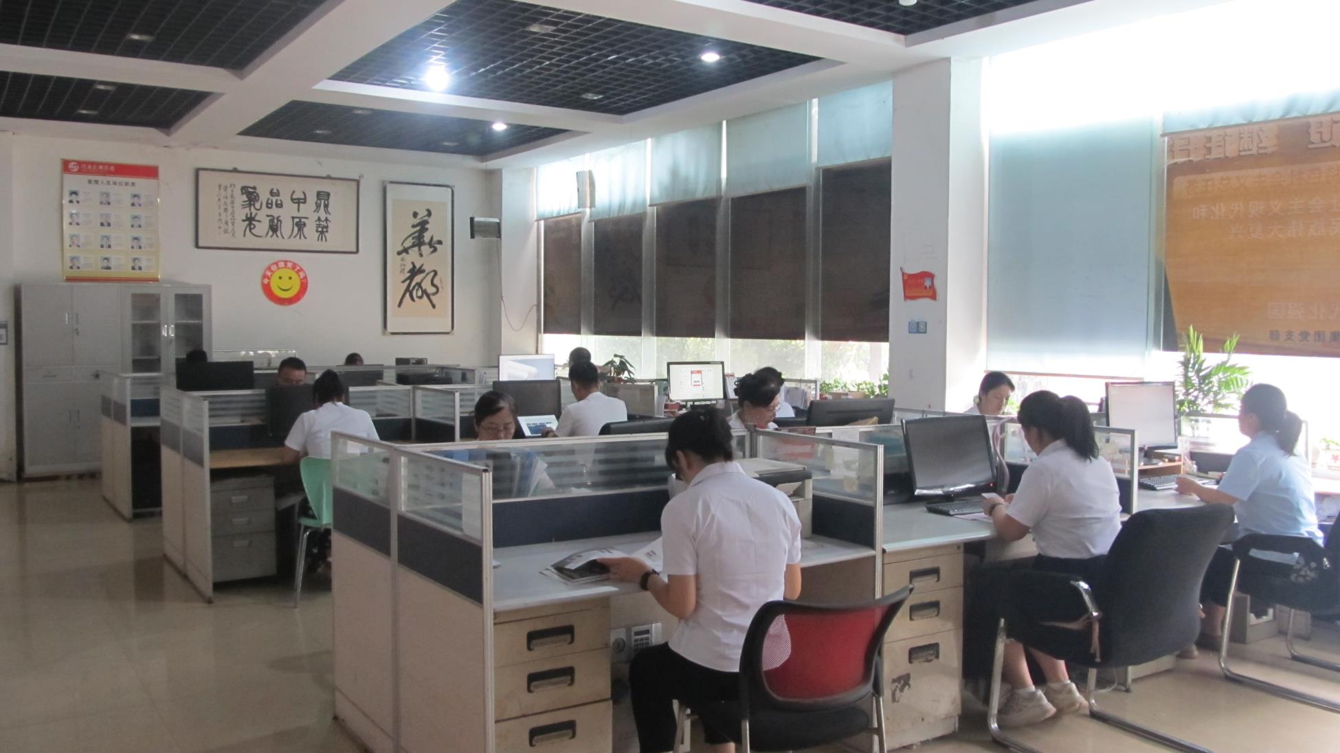Henan Huadu Cabinet Industry Group Co., Ltd. Steel Filing Cabinets
