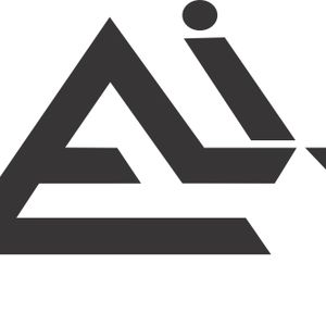 Company icon