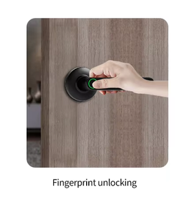 fully automatic palmprint Aluminum door CNC smart lock with 3D face recognition and video intercom function
