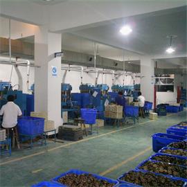 Dongyang Ruibang Sports Goods Co., Ltd. Rubber Bouncing Ball