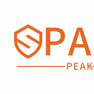 Company icon