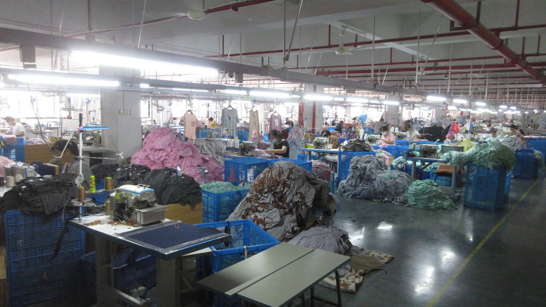 Yiwu Rarewe Import & Export Co., Ltd. Pet Toy