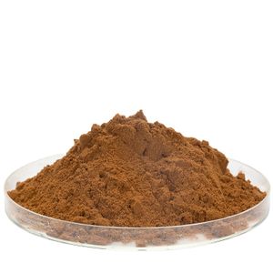 High Quality Schizophyllum commune Extract Polysaccharides Organic Common Porecrust Extract Factory Direct