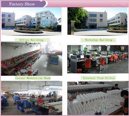 Shenzhen City Zhongyi Technology Co., Ltd. Resin Craft