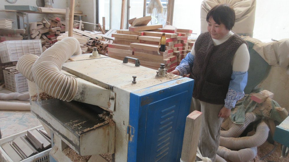Ningbo Ryder Crafts Co., Ltd. Educational Toys