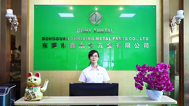 Dongguan Thriving Metal Parts Co., Ltd. CNC Machining Parts