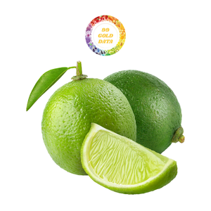 Premium Green Lemon without seeds Fresh Seedless lime Competitive price from Viet Nam