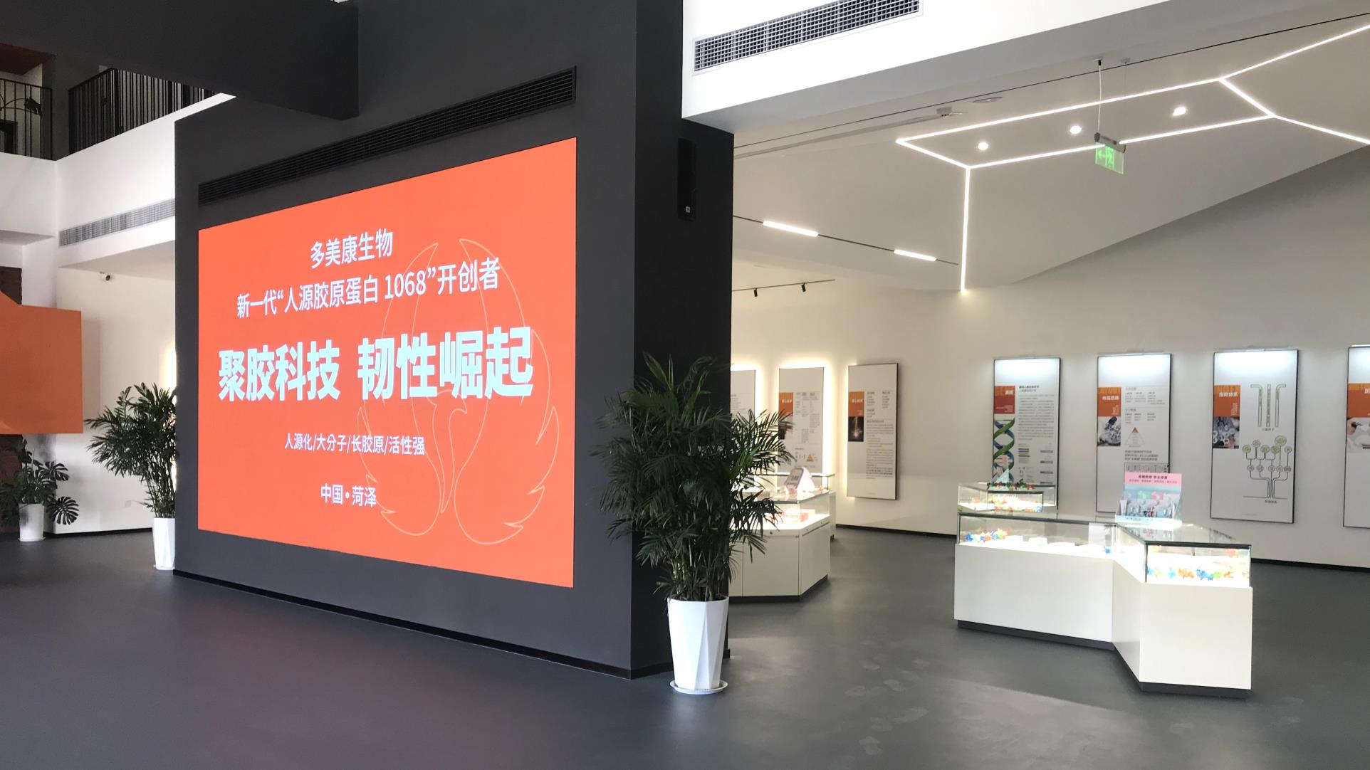 Shandong D-Nutrimec Biomedical Co., Ltd. Collagen Repair Gel